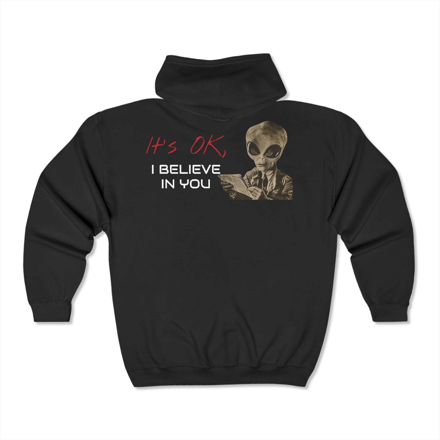 Big Risk Energy - Zipped Hoodie